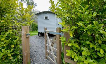 a small blue house is situated next to a wooden fence and a gravel path at The Snug