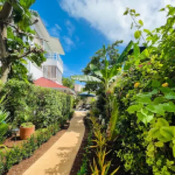 Summer House Inn San Andres Hotels in 