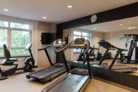 The Originals Boutique, Hôtel d'Alsace, Strasbourg Sud - Gym