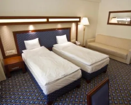Centrum Hotel Hotels in Debrecen