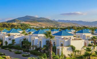 a group of white houses with blue roofs are surrounded by palm trees and mountains at Banyan Tree Tamouda Bay