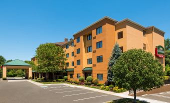a large , modern apartment building with multiple windows and balconies , surrounded by lush greenery and trees at Courtyard Danbury