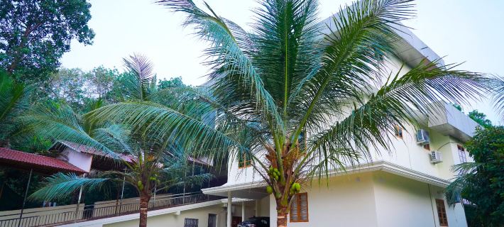 Blue Warm Foundations Private Limited Hotels in Kottayam
