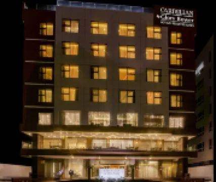 Carnelian Muscat - Airport Hotel