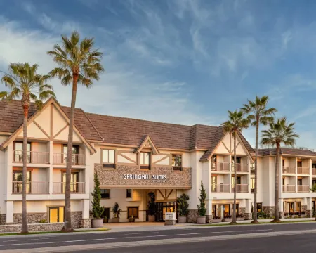 スプリングヒル・スイート・バイ・マリオット・サンディエゴ・カールスバッド カールスバッドのホテル