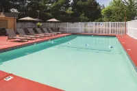 Best Western Plus Parkway Inn - Pool