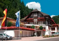 Flair Hotel Adlerbad Hotels in Bad Peterstal-Griesbach