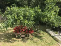 Benxi Qumai Leisure Villa - Villas