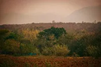 The Wild Farms by Gwestai Hotels in Masinagudi