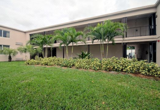 시그니처 인 마이애미