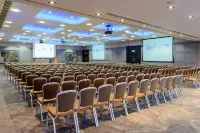 Radisson Blu Hotel, Athlone - Wi-Fi