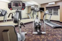 Microtel Inn & Suites by Wyndham Macon - Gym