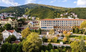 Hotel Çelik Palas Convention Center & Thermal Spa