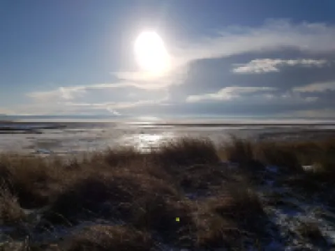 The Pavilion Guest House ミロムのホテル