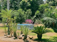 El Ranchito Surfcamp Hotels near Playa Cambutal