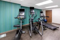Holiday Inn Express & Suites DEADWOOD-GOLD DUST CASINO by IHG - Gym