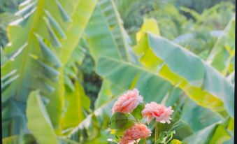 La Nha Homestay Hue