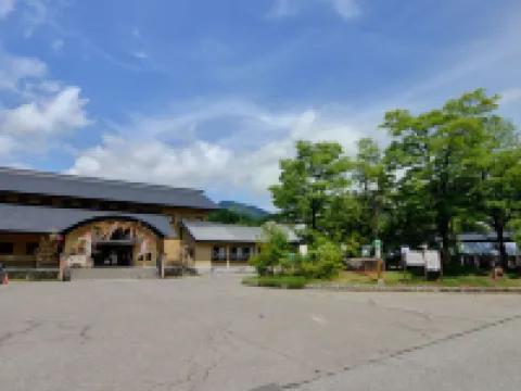 舒暢温泉 高柳舒暢村 柏崎市酒店