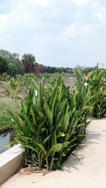 รูปภาพของอรวรา เพลส