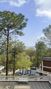 Shogi Playground