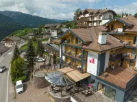 La Roccia Wellness Hotel فنادق في Panchia