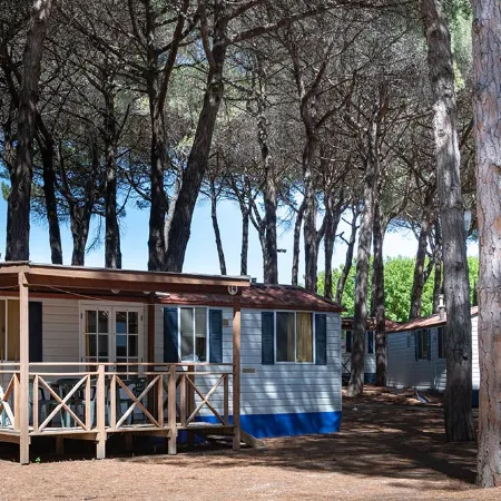 Pineta Sul Mare Camping Village