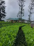 Meghamala Resorts Hotels near Kalyanathandu ViewPoint