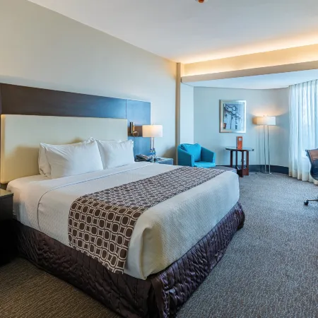 Crowne Plaza SANTO DOMINGO by IHG Отели рядом с достопримечательностью «Набережная Малекон»