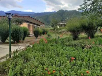 Nirvana Lodge Hotels near Indo Bhutan Freindship Bazaar