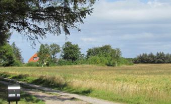 6 Person Holiday Home in Skagen