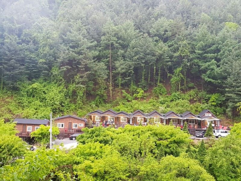 영주 소백산 비로오토파크캠핑 펜션 이미지