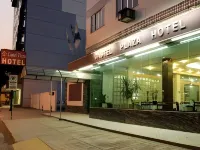 Castel Plaza Hotel Hotels in Resende