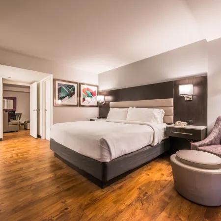 Holiday Inn & Suites BEAUMONT-PLAZA (I-10 & WALDEN) by IHG