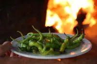 Emirsoy Harası | Race Horse Farm | Room No: 2