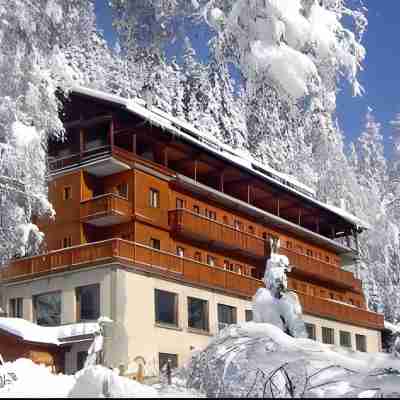 Chalet Hôtel Les Campanules Hotel Exterior