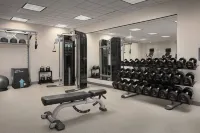 Hilton Garden Inn Columbia/Harbison - Gym