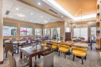 Hilton Garden Inn Gainesville Hoteles en Gainesville