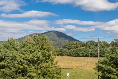 Charming Gingerbread House. Awesome mountain views near to SNP and Skyline Dr.