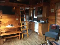 Fisherman's Retreat Cabin #2 ON THE RIVER!!!!! Hotel a Swain County