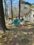 Li’l Yellow Cottage on the Sunrise Side - Wifi