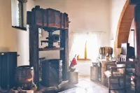 Beautiful apartment in Chianti on organic farm with pool and 360° sunset views