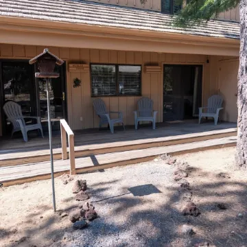 Walk to food/shops and SHARC, 10 Passes, A/C, King Beds, Pool Table