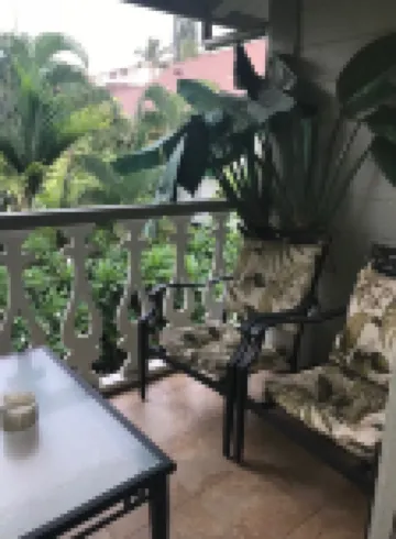 The Palm- Cozy condo in the heart of Kona