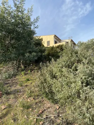 PROMO: Dream apartment with 3 sunny terraces full sea view.