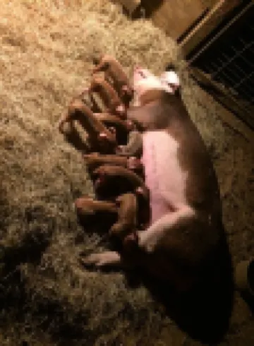 Melody's Bed and "Catch Your Breakfast