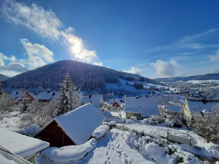 Apartment in the Northern Black Forest 40 m² Отели в г. Байрсброн