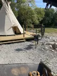 Morels on the Wabash offers Clamping in a Authentic 20 ft Tee Pee - 30x30 deck .