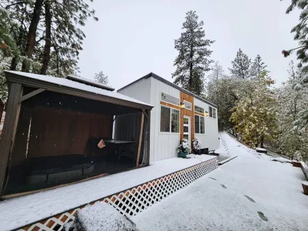 Modern Tiny House in the Woods w/Hot Tub