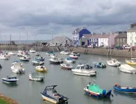 YR HEN  FANC (THE OLD BANK)