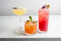 Hotel La Jolla, Curio Collection by Hilton - bar